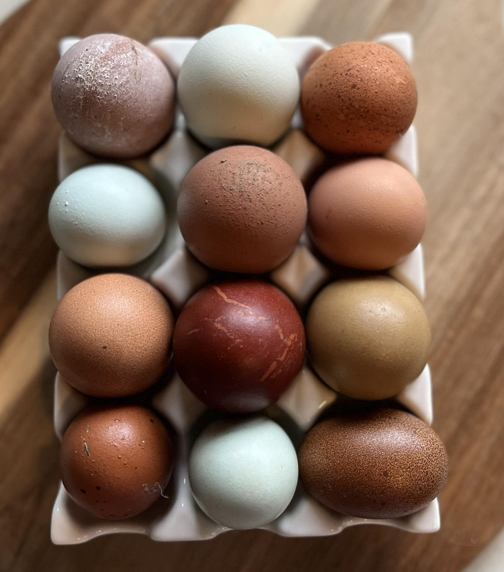 Hens Choice Hatching Eggs